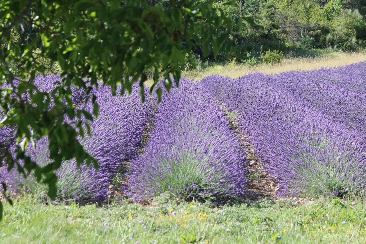 Bed and Breakfast Entre Terre Et Ciel Rémuzat Zewnętrze zdjęcie